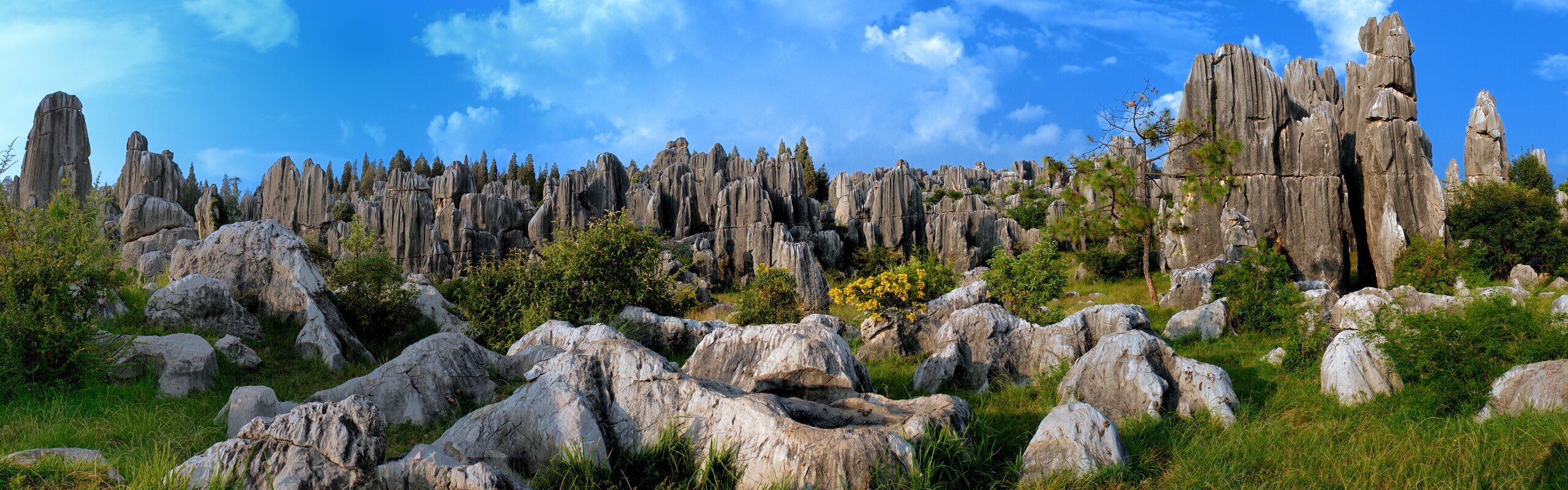 Kunming Travel Guide 2025: Best Times, Itinerary, Attractions