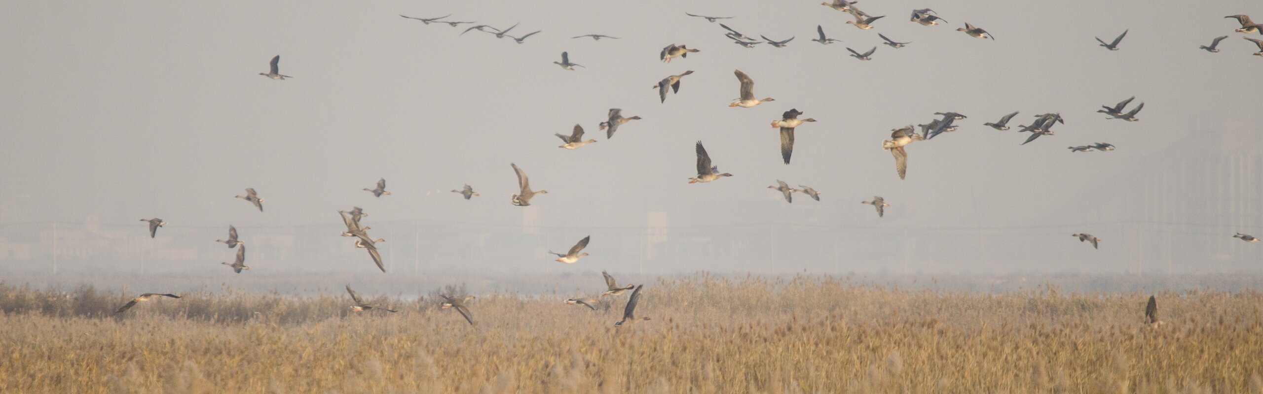  Tianjin Travel Guide - How to Plan a Trip to Tianjin