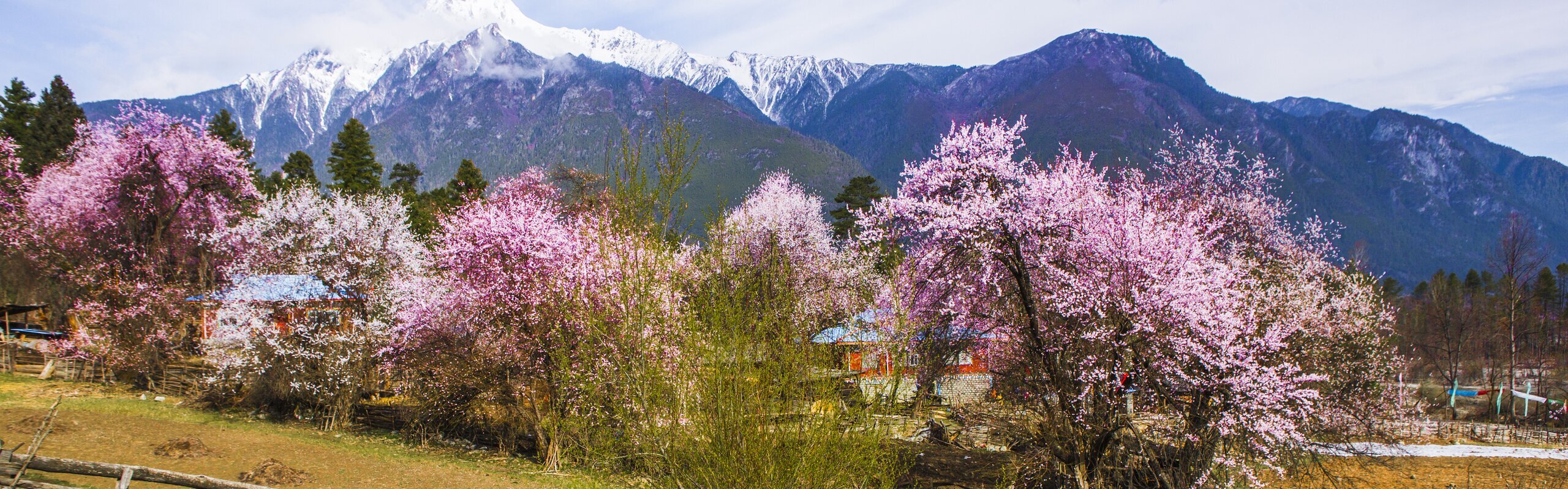 The Top 9 Places to Visit  in April in China
